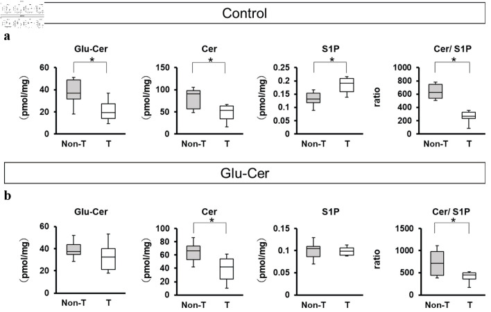 Oral Administration of Glucosylceramide Suppresses Tumor Growth by Affecting the Ceramide/Sphingosine-1-Phosphate Balance in Breast Cancer Tissue.