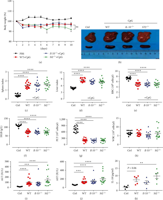 The Role of the IL-33/ST2 Axis in CpG-Induced Macrophage Activation Syndrome.