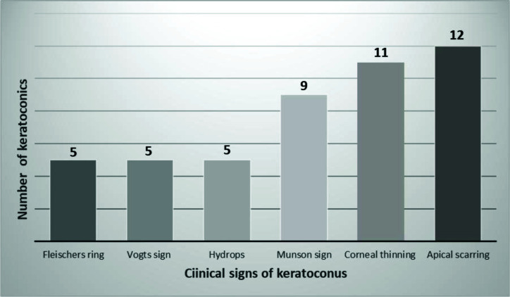 Prevalence and clinical profile of keratoconus in patients presenting at a provincial hospital in KwaZulu, Natal, South Africa: A case study.