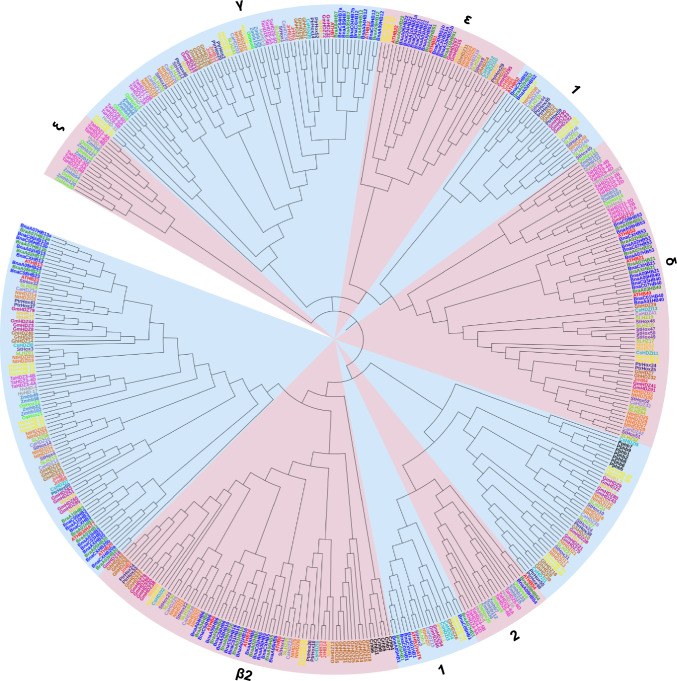 Evolutionary Consequences of Functional and Regulatory Divergence of HD-Zip I Transcription Factors as a Source of Diversity in Protein Interaction Networks in Plants.