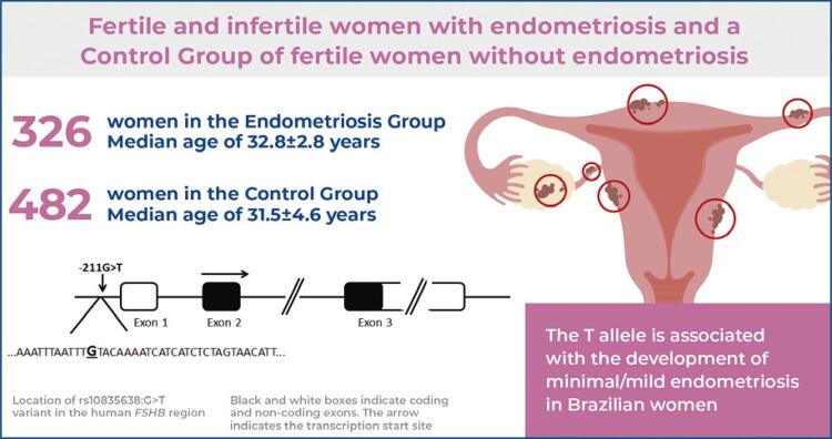 Implication of FSHB rs10835638 variant in endometriosis in Brazilian women.