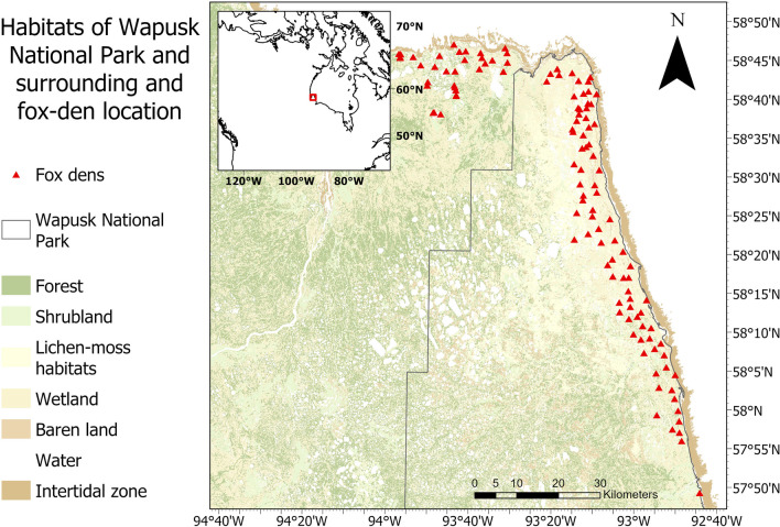 Coexistence of two sympatric predators in a transitional ecosystem under constraining environmental conditions: a perspective from space and habitat use.