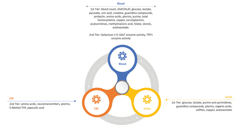 Catching the Culprit: How Chorea May Signal an Inborn Error of Metabolism.