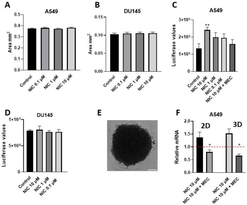 A Simple and Fast Method for the Formation and Downstream Processing of Cancer-Cell-Derived 3D Spheroids: An Example Using Nicotine-Treated A549 Lung Cancer 3D Spheres.