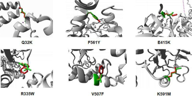 In silico prediction of deleterious non-synonymous SNPs in <i>STAT3</i>.