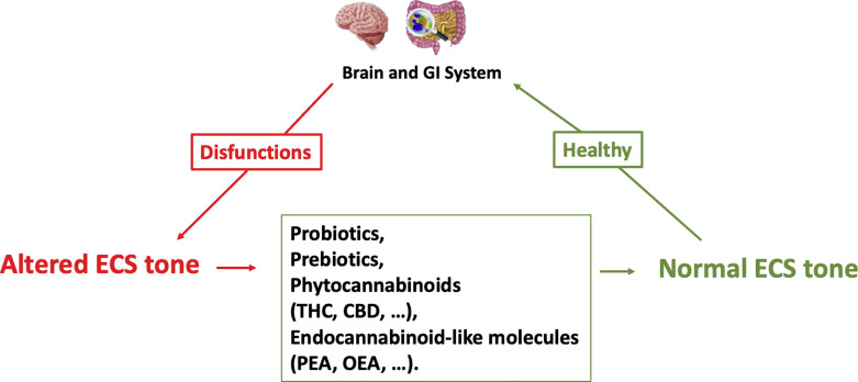 Neuro-Gastro-Cannabinology: A Novel Paradigm for Regulating Mood and Digestive Health.