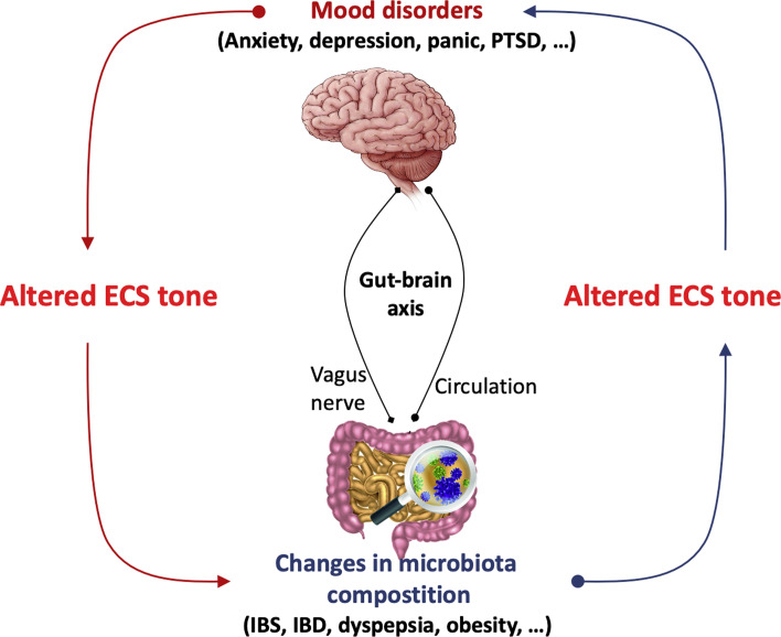 Neuro-Gastro-Cannabinology: A Novel Paradigm for Regulating Mood and Digestive Health.