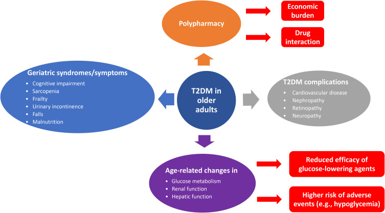 Management of Glucose-Lowering Therapy in Older Adults with Type 2 Diabetes: Challenges and Opportunities.