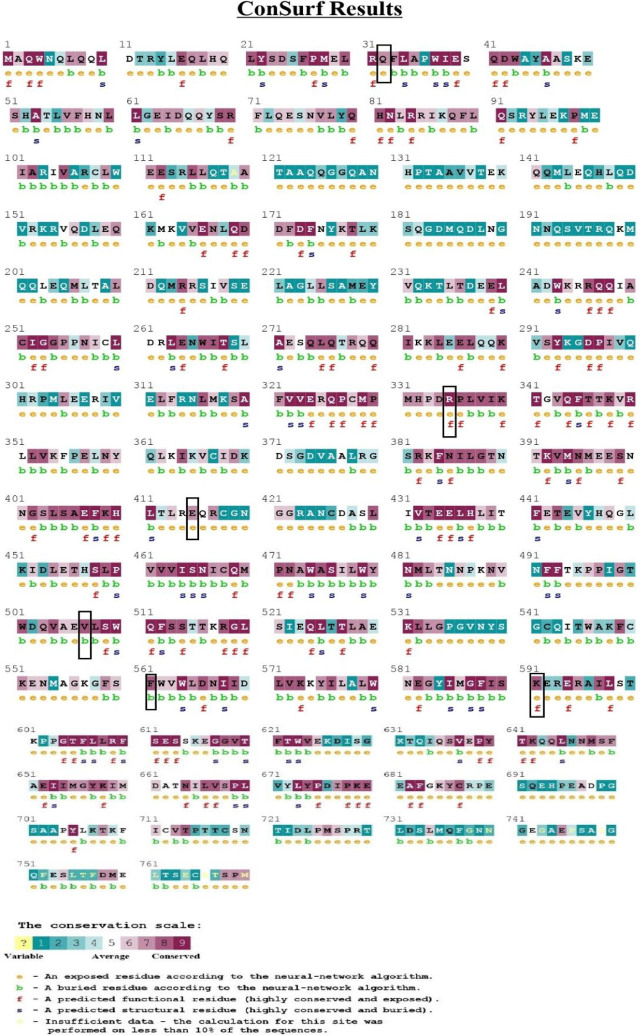 In silico prediction of deleterious non-synonymous SNPs in <i>STAT3</i>.