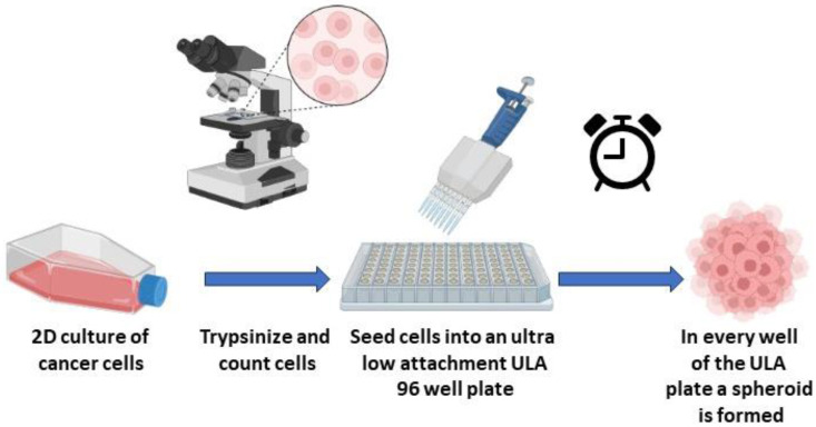 A Simple and Fast Method for the Formation and Downstream Processing of Cancer-Cell-Derived 3D Spheroids: An Example Using Nicotine-Treated A549 Lung Cancer 3D Spheres.