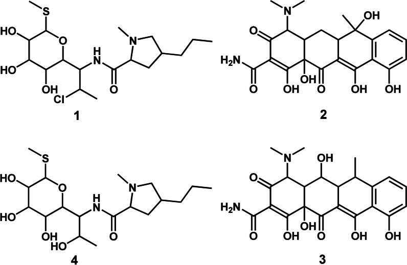 Prioritised identification of structural classes of natural products from higher plants in the expedition of antimalarial drug discovery