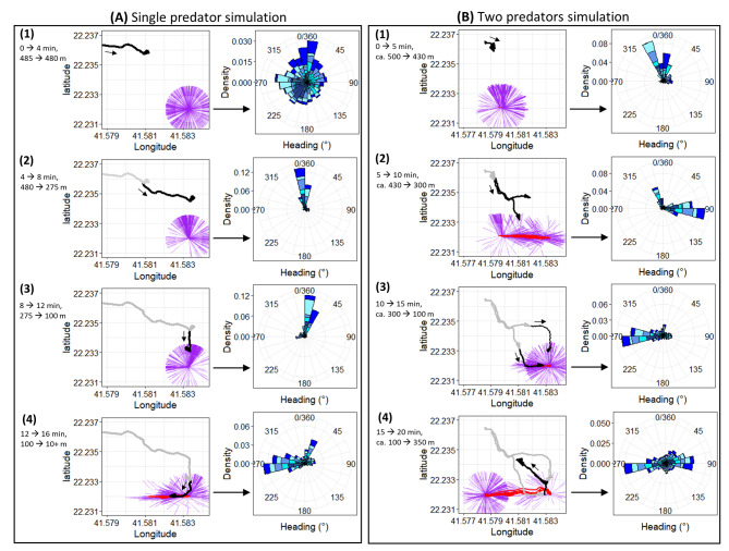 Examination of head versus body heading may help clarify the extent to which animal movement pathways are structured by environmental cues?