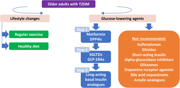 Management of Glucose-Lowering Therapy in Older Adults with Type 2 Diabetes: Challenges and Opportunities.