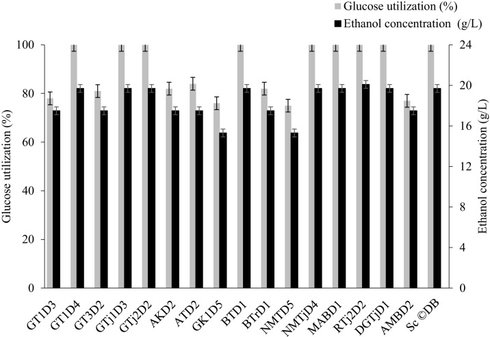 Isolation, screening and identification of ethanol producing yeasts from Ethiopian fermented beverages