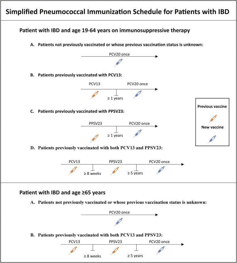 Providing Pneumococcal Vaccines Reduces the Risk of Serious Infections From Pneumococcal Pneumonia. We Should Consider a Simplified Immunization Schedule.