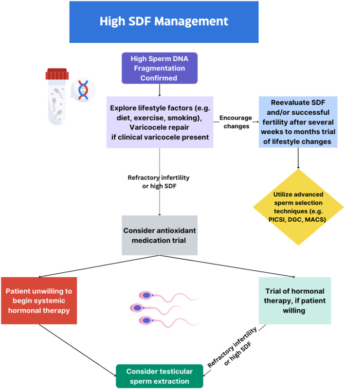 Sperm DNA fragmentation testing in clinical management of reproductive medicine.