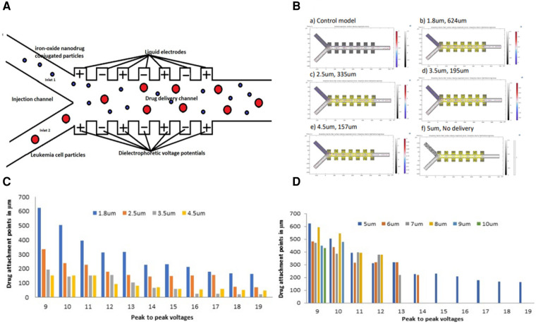 A di-electrophoretic simulation procedure of iron-oxide micro-particle drug attachment system for leukemia treatment using COMSOL software: a potential treatment reference for LMICs.