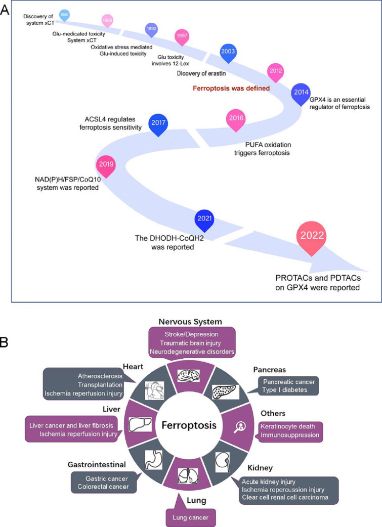 Targeting the ferroptosis crosstalk: novel alternative strategies for the treatment of major depressive disorder.