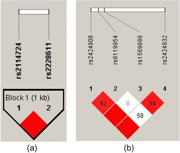 DNMT1 SNPs (rs2114724 and rs2228611) associated with positive symptoms in Chinese patients with schizophrenia.