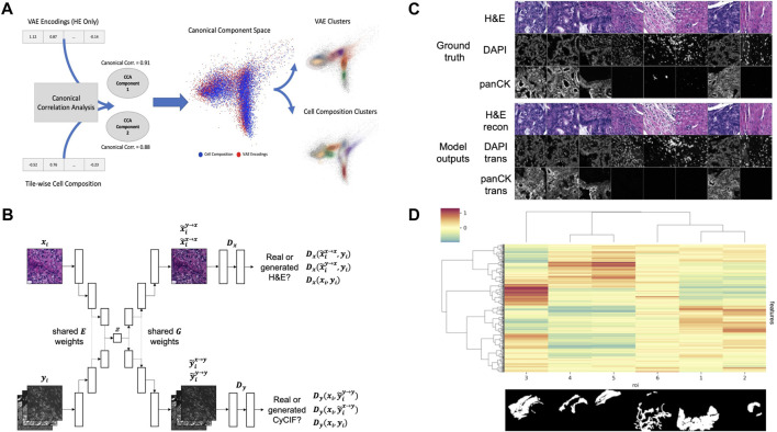 3D multiplexed tissue imaging reconstruction and optimized region of interest (ROI) selection through deep learning model of channels embedding.