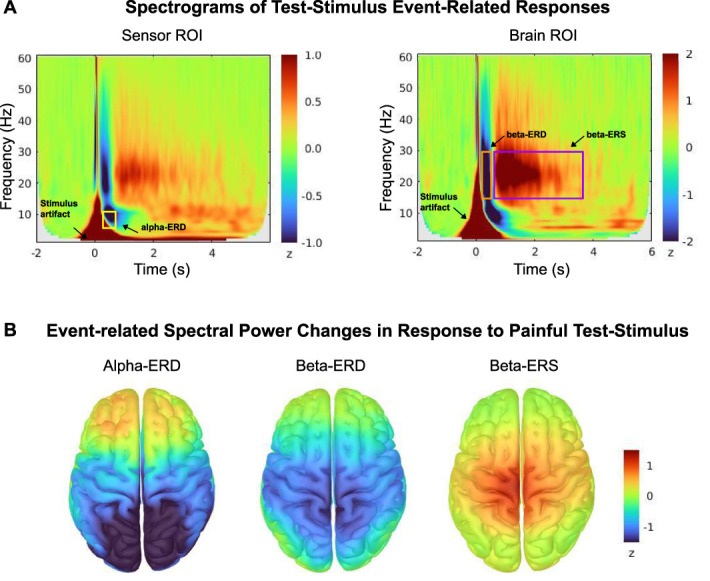 Neurophysiological oscillatory markers of hypoalgesia in conditioned pain modulation.