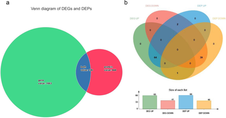 Effects of µ-Conotoxin GIIIB on the cellular activity of mouse skeletal musculoblast: combined transcriptome and proteome analysis.