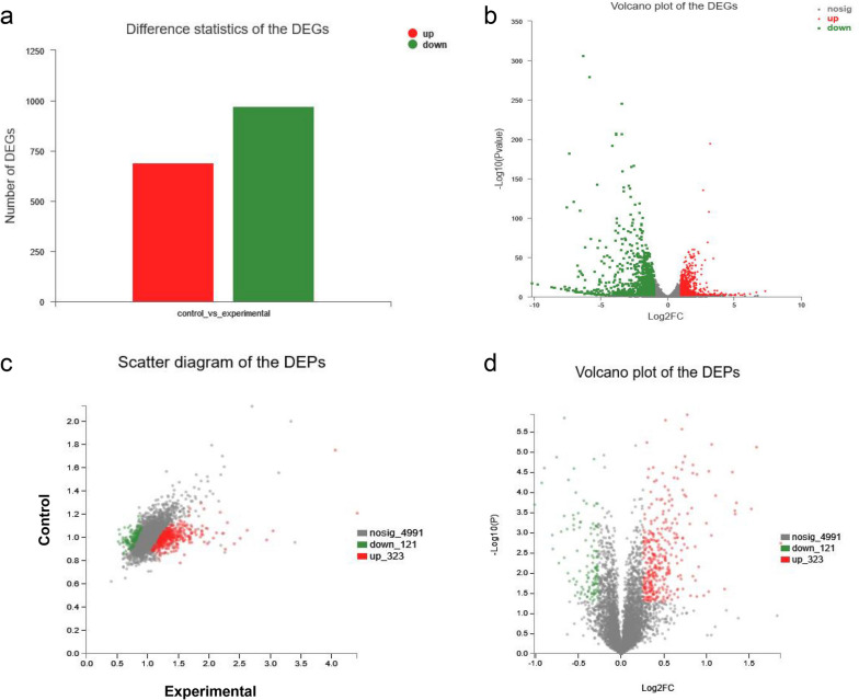 Effects of µ-Conotoxin GIIIB on the cellular activity of mouse skeletal musculoblast: combined transcriptome and proteome analysis.