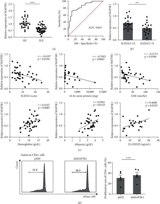 Circulating miR-320b Contributes to CD4+ T-Cell Proliferation in Systemic Lupus Erythematosus via MAP3K1.