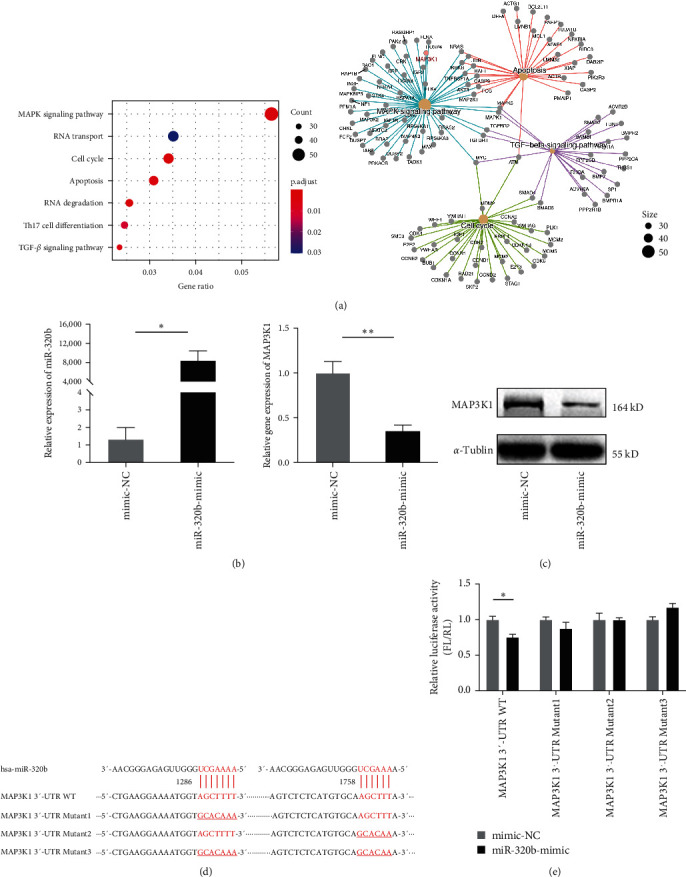 Circulating miR-320b Contributes to CD4+ T-Cell Proliferation in Systemic Lupus Erythematosus via MAP3K1.