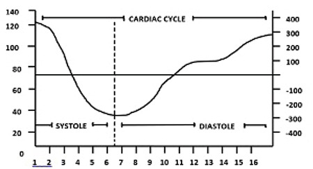 A Different Scintigraphic Perspective on the Systolic Function of the Left Ventricle-1.