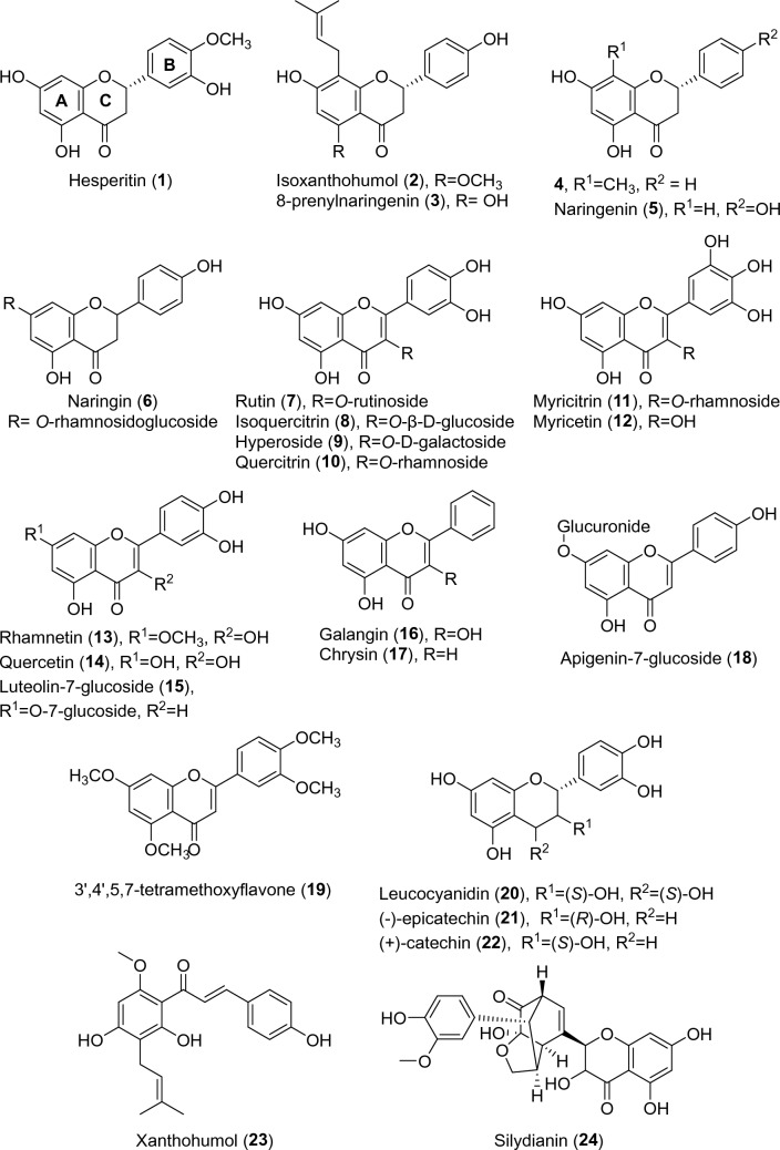 Mur ligase F as a new target for the flavonoids quercitrin, myricetin, and (–)-epicatechin