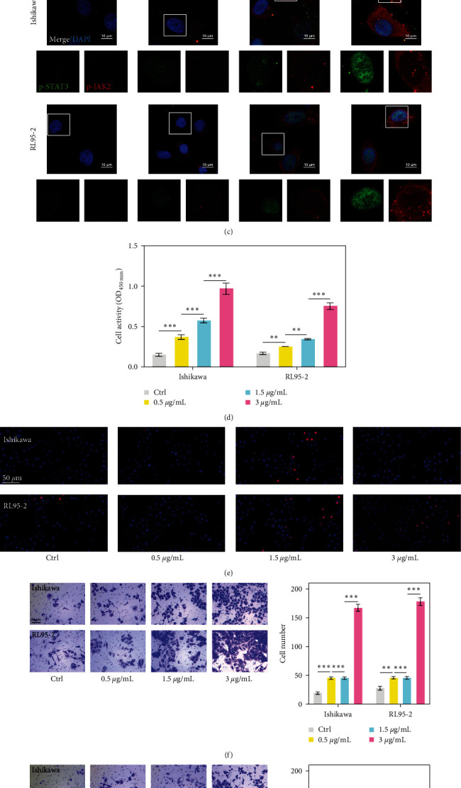 Low-Density Lipoprotein Contributes to Endometrial Carcinoma Cell Proliferation, Migration, and Invasion by Activating the JAK-STAT Signaling Pathway.