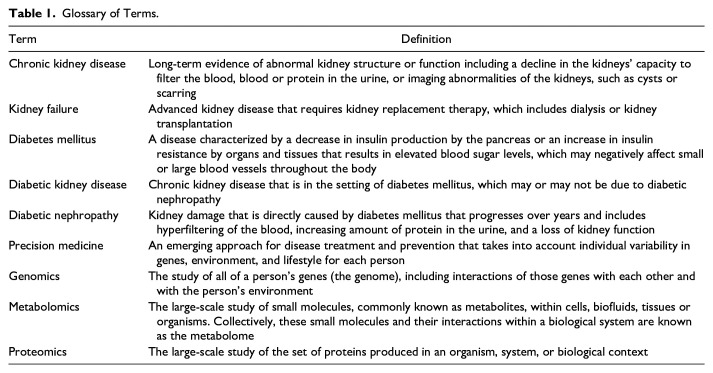 Precision Medicine in Diabetic Kidney Disease: A Narrative Review Framed by Lived Experience.