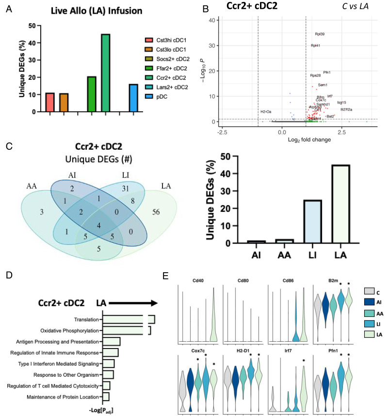 Alloantigen Infusion Activates the Transcriptome of Type 2 Conventional Dendritic Cells.