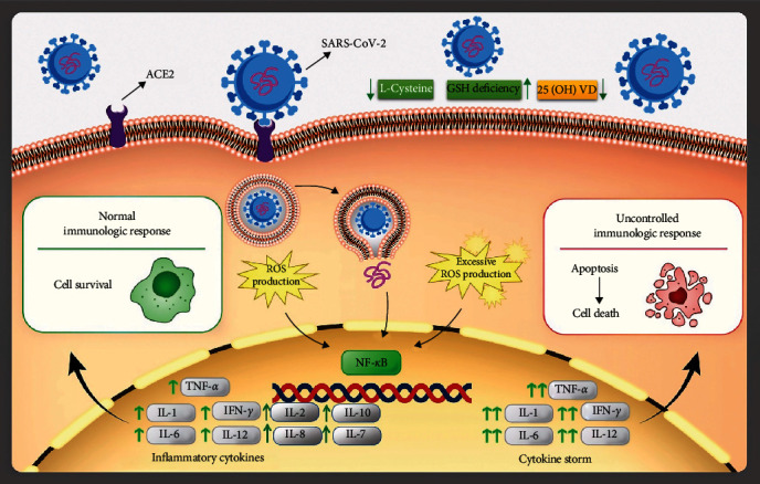 A Review of Antibiotic Efficacy in COVID-19 Control.