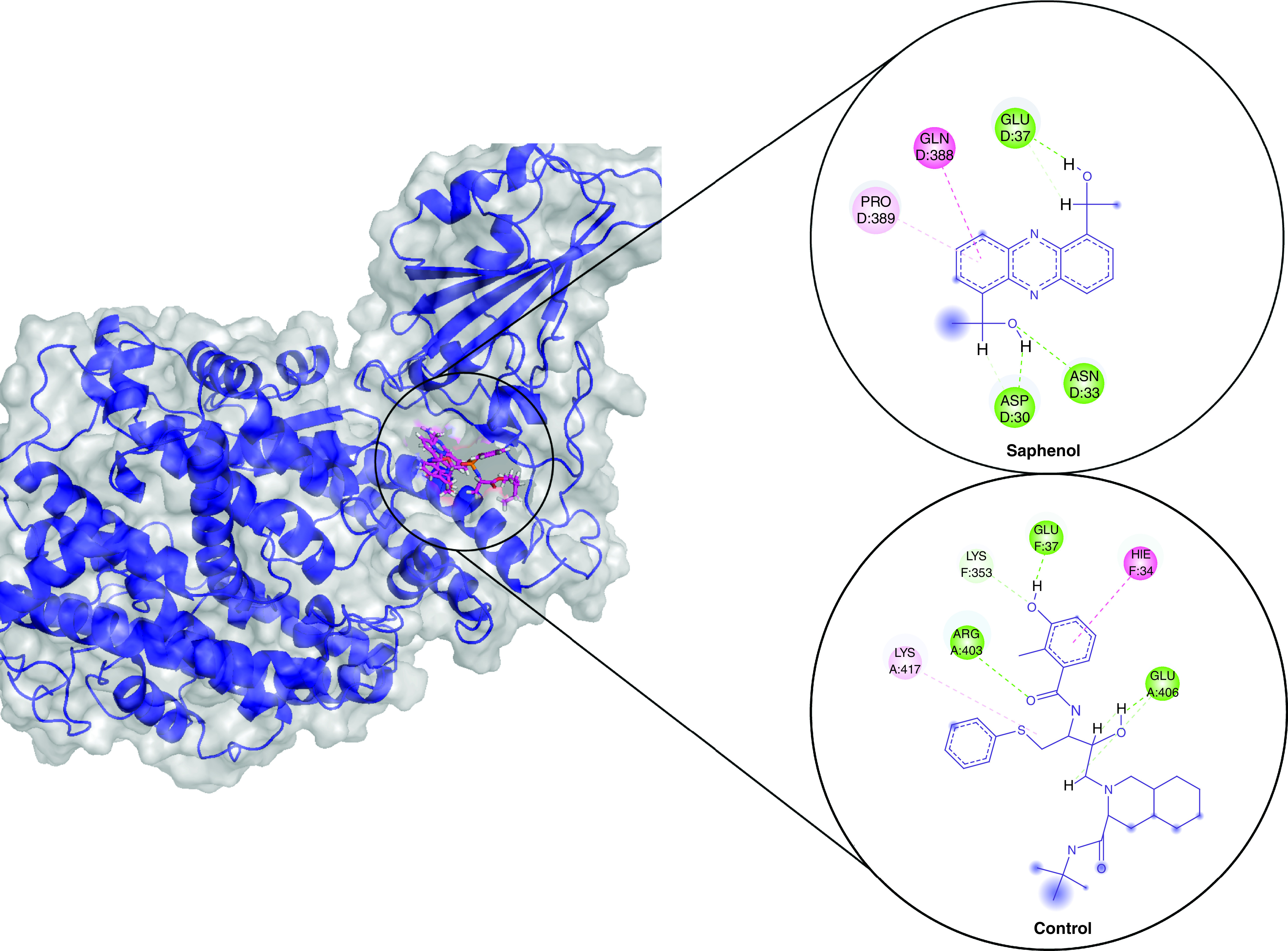 <i>In silico</i> identification of deep-sea fungal alkaloids as potential inhibitors of SARS-CoV-2, Delta and Omicron spikes.