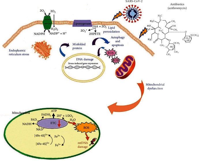 A Review of Antibiotic Efficacy in COVID-19 Control.