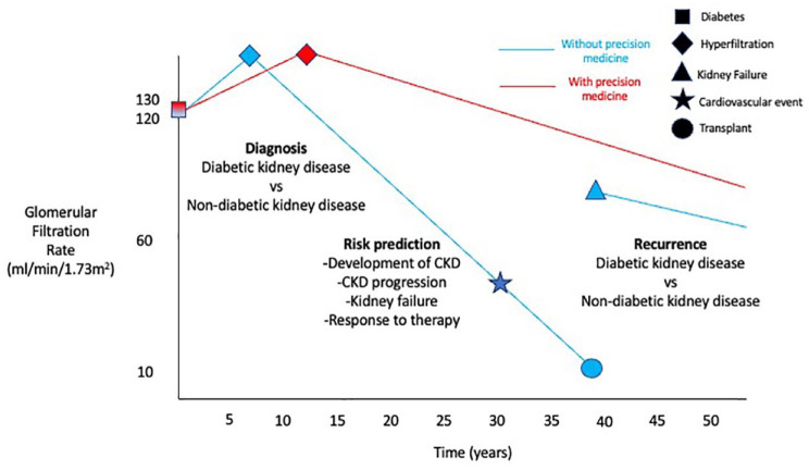 Precision Medicine in Diabetic Kidney Disease: A Narrative Review Framed by Lived Experience.