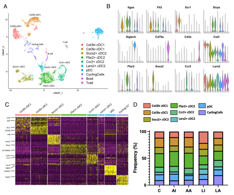 Alloantigen Infusion Activates the Transcriptome of Type 2 Conventional Dendritic Cells.