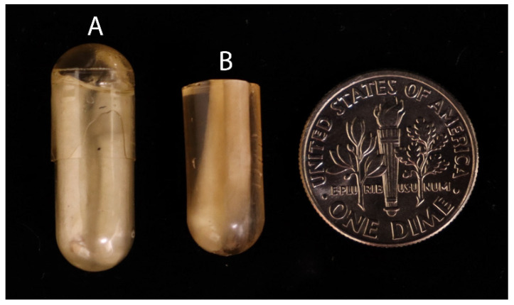 A Simplified Microscopy Technique to Rapidly Characterize Individual Fiber Traits in Cotton.