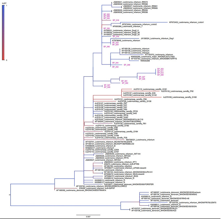 Genetic variability of Leishmania (Leishmania) infantum causing human visceral leishmaniasis in the Southeastern Brazil.