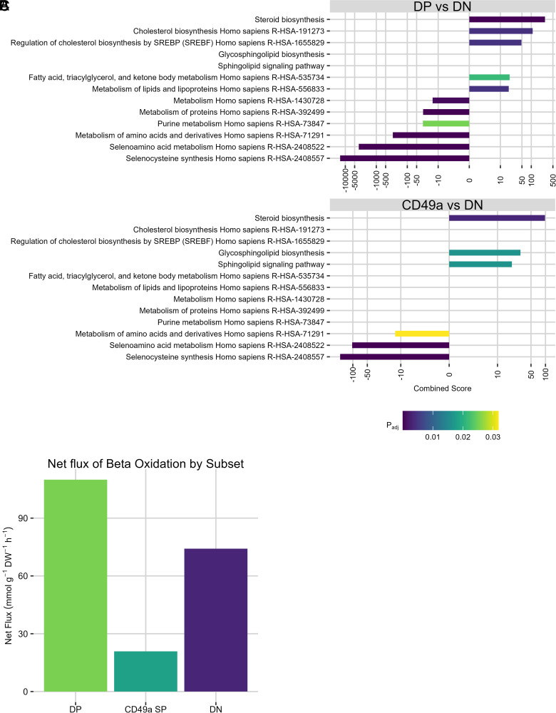 Mouse Memory CD8 T Cell Subsets Defined by Tissue-Resident Memory Integrin Expression Exhibit Distinct Metabolic Profiles.