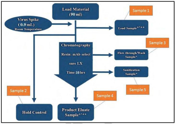 Evaluating the viral clearance ability of continuous monoclonal antibody purification steps, in order to inactivate and/or remove four model viruses.