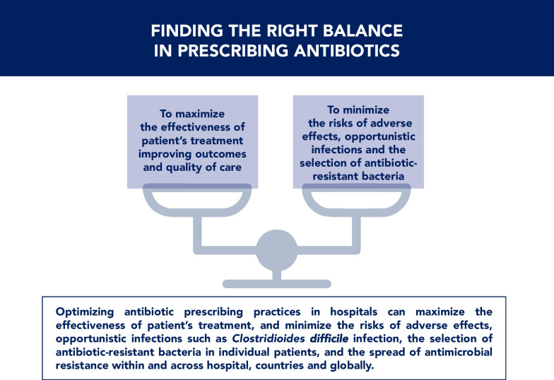 Ten golden rules for optimal antibiotic use in hospital settings: the WARNING call to action.