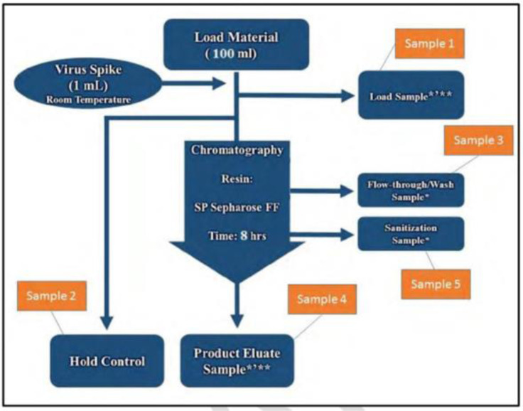 Evaluating the viral clearance ability of continuous monoclonal antibody purification steps, in order to inactivate and/or remove four model viruses.