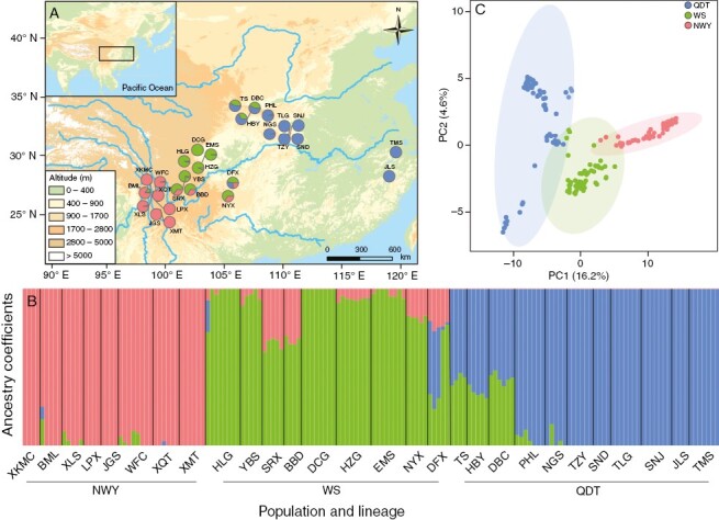 Adaptive divergence and genetic vulnerability of relict species under climate change: a case study of Pterocarya macroptera.