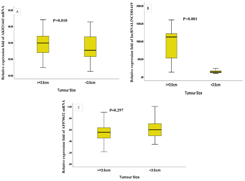 The Potential Role of Circulating Long Miscellaneous RNAs in the Diagnosis and Prognosis of Hepatitis C Related Hepatocellular Carcinoma.