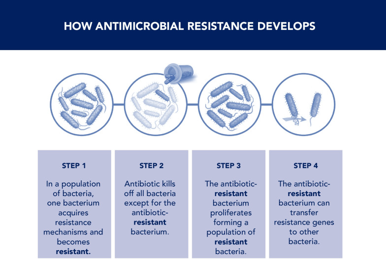 Ten golden rules for optimal antibiotic use in hospital settings: the WARNING call to action.