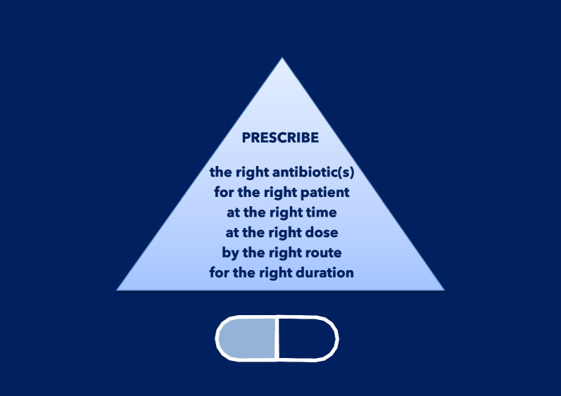 Ten golden rules for optimal antibiotic use in hospital settings: the WARNING call to action.