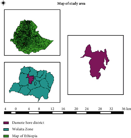 Study on Cattle Trematodiasis and Related Risk Factors in Damot Sore District, Wolaita Zone, Southern Ethiopia.